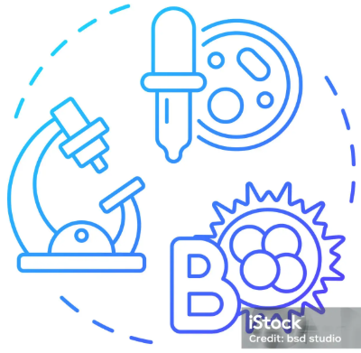 Zellbiologie & Immunologie